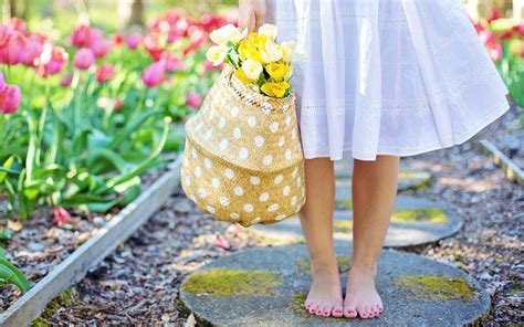 Afbeeldingsresultaten voor Functionele Aarding Symbool