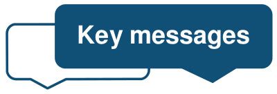 Image result for Icon for Key Message