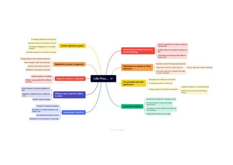 Image result for Concept Map of Chapter Life Processes