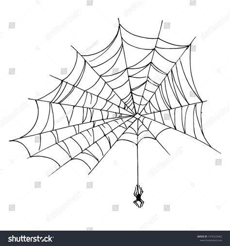 Image result for Spider Web Drawing