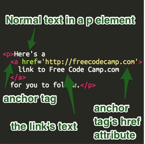 Image result for Anchor Coding