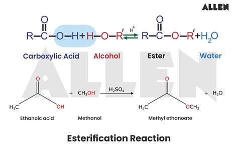 Image result for Ester Compound Examples