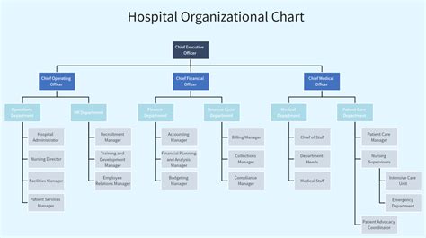 Toradh íomhá ar Structured Chart Hospital Management System