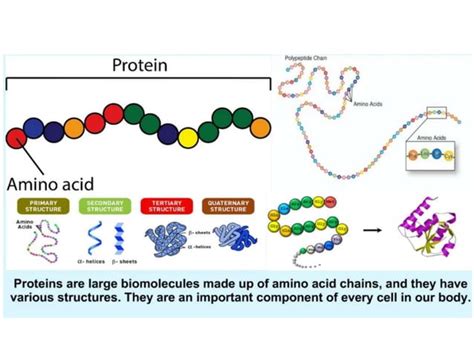 Afbeeldingsresultaten voor Protein Databases Icons