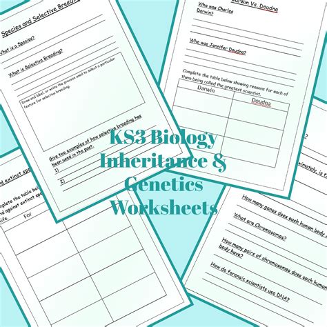 Afbeeldingsresultaten voor Learning Activity of Simple Inheritance