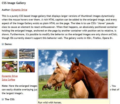 Image result for CSS Gallery Example