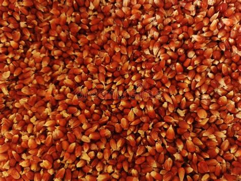 Image result for Ground Corn Feed