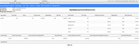 Image result for ESS Pay Stub