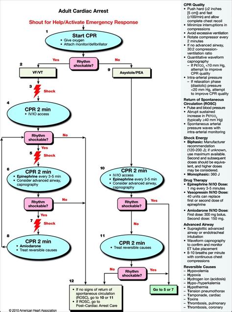 ACLS Asystole Algorithm に対する画像結果