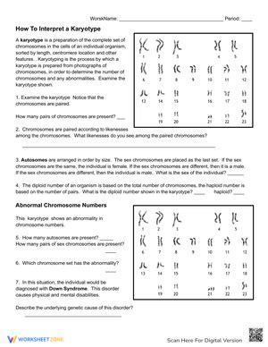 Toradh íomhá ar Karyotype Worksheet Answer Key