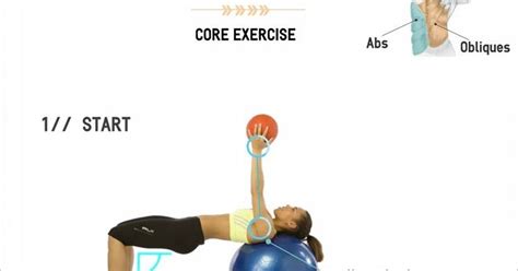 Image result for Swiss Ball Butterfly Exercise