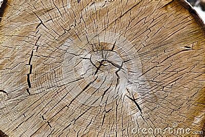 Toradh íomhá ar Internal Tree Structure