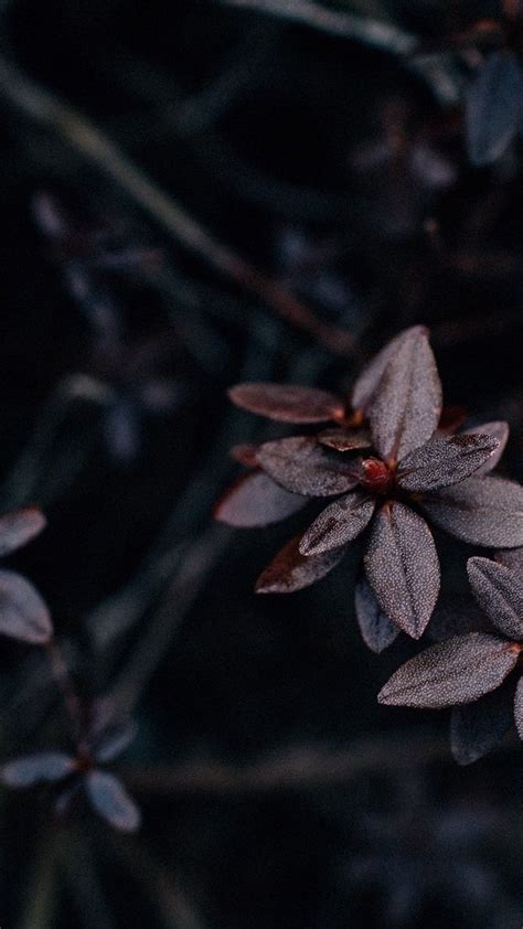 Toradh íomhá ar Dark Aesthetic Tumblr Lock Screen