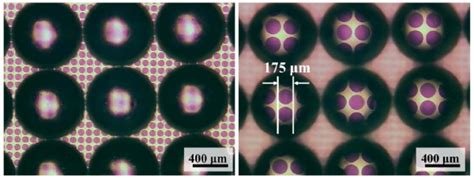 Double Face Microlens Array に対する画像結果