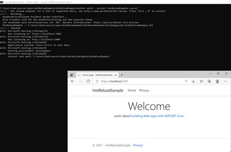 Image result for Net Core 6 Preview