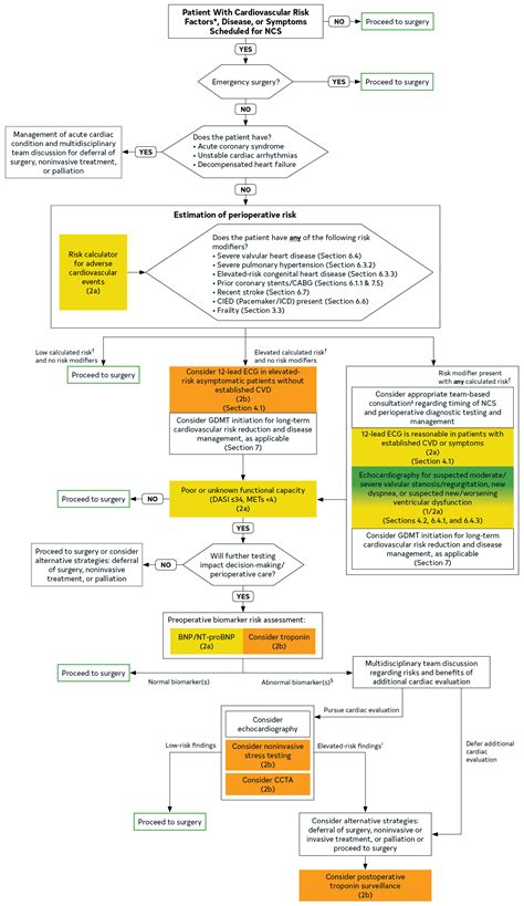 Cardiac Stress Test Algorithm に対する画像結果
