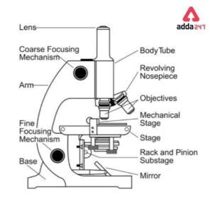 Image result for Object Under Simple Microscope