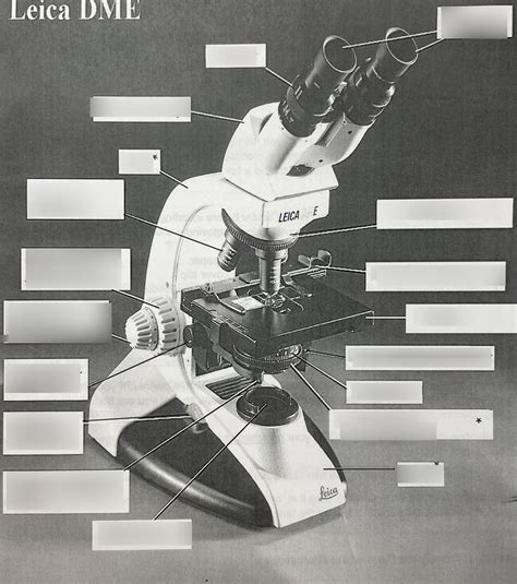 Image result for Labeled Diagram of a Compound Microscope