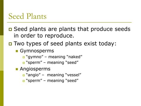 Image result for Seed Dispersal Angiosperm vs Gymnosperm