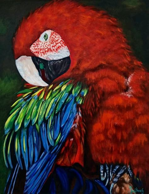 Bildergebnis für Ruby Macaw Art