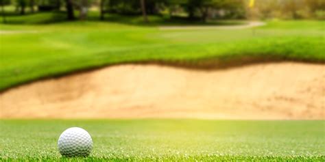 Image result for Golf Course Turf Shed