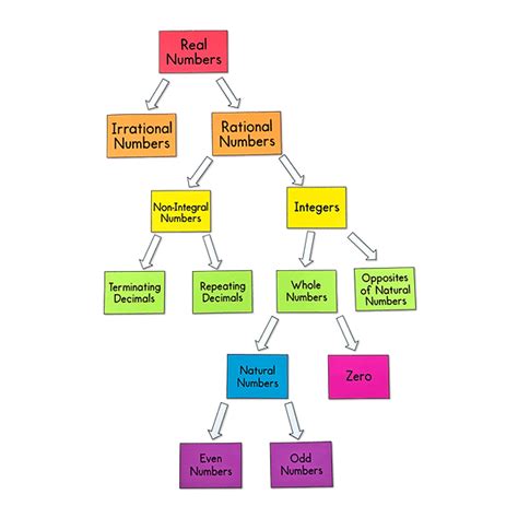 Image result for Classification of Numbers Chart