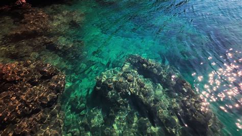 Image result for Deep Sea Shell 4K