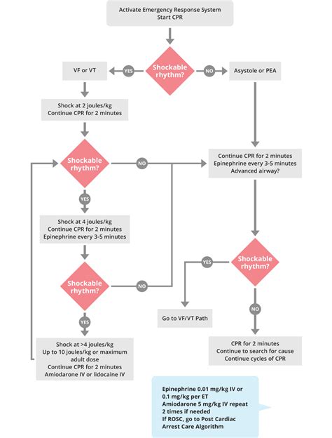 Afbeeldingsresultaten voor ACLS Pea Algorithm