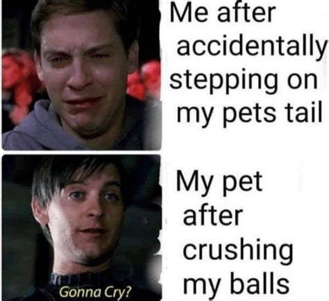 Afbeeldingsresultaten voor Sigma Rule Full Song