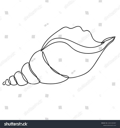 Image result for Object Line Drawings Shells