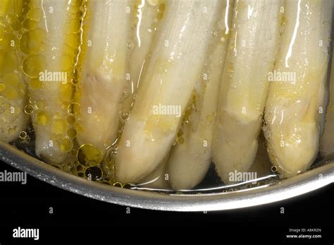 Image result for Asperges in Pot