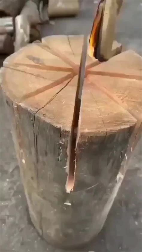 Image result for Fire Log Cooking