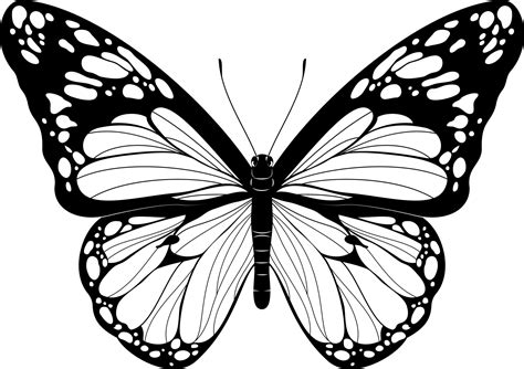 Toradh íomhá ar Butterfly Pattern in Python