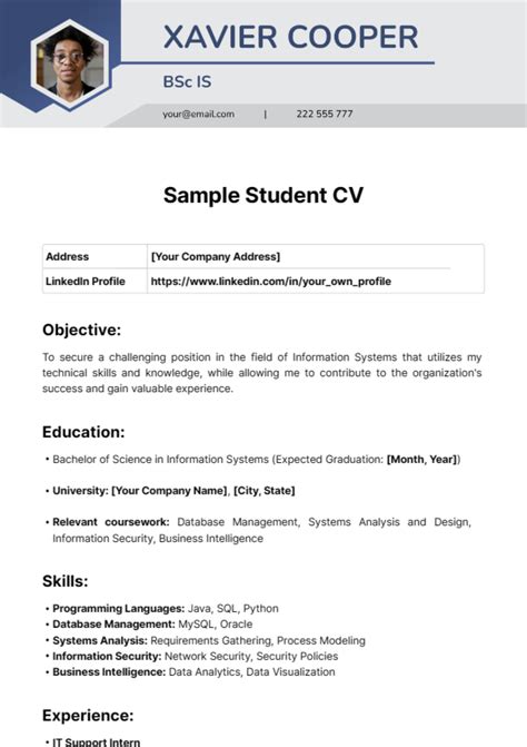 Toradh íomhá ar Example Student CV