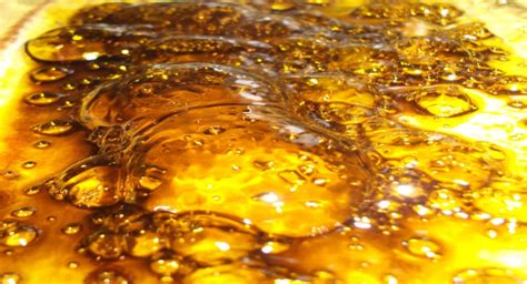 Exploring International Cannabis Cuisine: Hash Oil Recipe from New ...