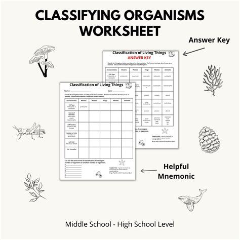 Image result for Classification Worksheet and Answer Sheet