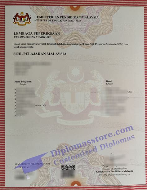 Toradh íomhá ar What Is SPM Transcript