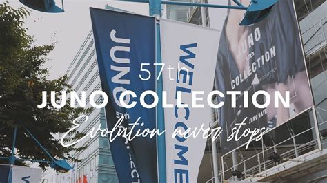 Image result for K-Lite Juno Sketch