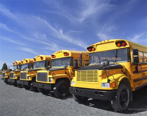 School-Bus Driver に対する画像結果