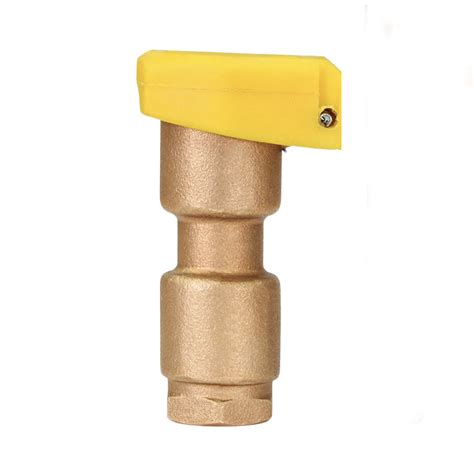 Image result for Quick Coupling Valve