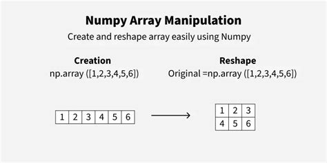 Afbeeldingsresultaten voor Python Create Numpy Array