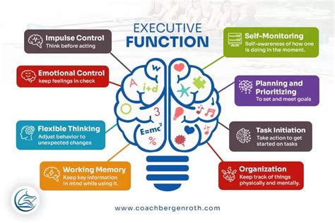 Image result for Executive Function Examples