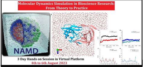 Image result for Molecular Dynamics Simulation