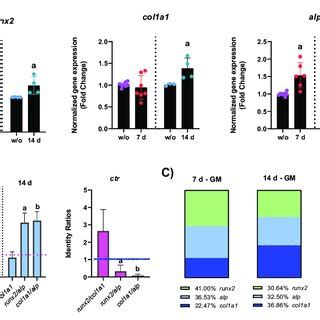 Image result for Process Bone