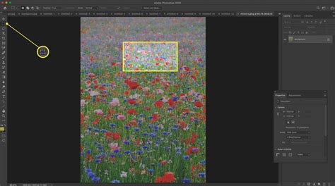 Image result for Pattern Fill Photoshop