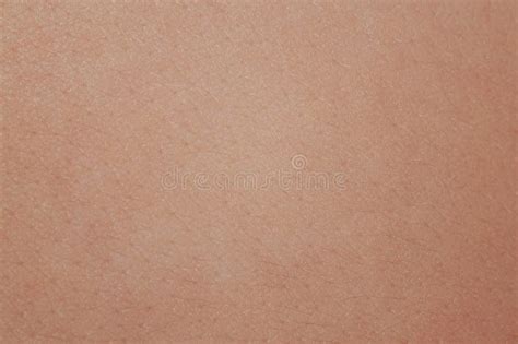 Image result for Human Skin Texture Seamless