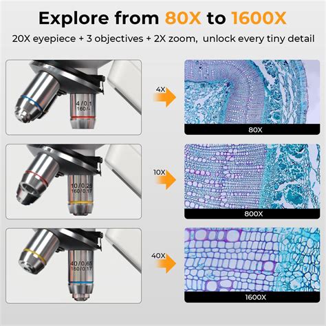 Image result for Compound Microscope Memorization