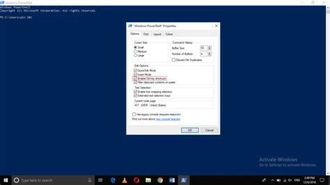 Toradh íomhá ar PowerShell Copy and Paste Scam