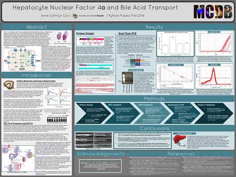 Image result for Array of Python Poster