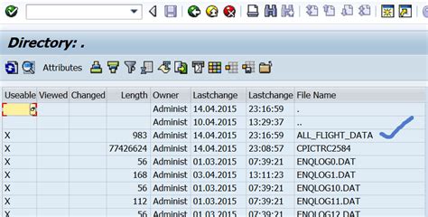 Image result for How to Retrieve SAP Application Server